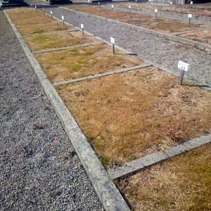 東かがわ市　市営墓地　黒羽霊園