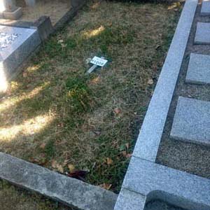 東かがわ市　市営墓地　三本松霊園