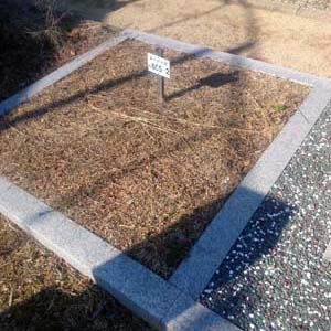 東かがわ市　市営墓地　白鳥霊園