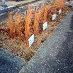 丸亀市　市営墓地　城南共葬墓地